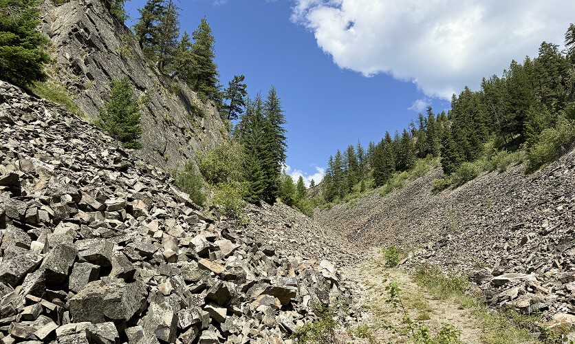 Land Investment Opportunities